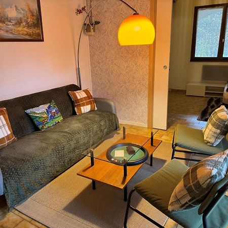 Venosc-Les 2 Alpes , Rez De Jardin Apartment Luaran gambar